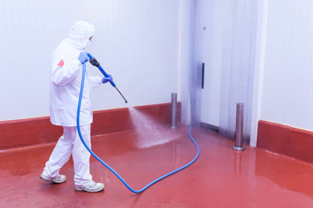 Best Soft Washing for Delicate Surfaces in Clarksville, IA